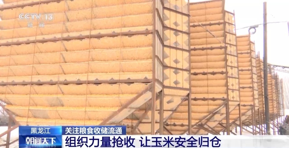 1700809434934807.jpg 20231124_143531_005.jpg