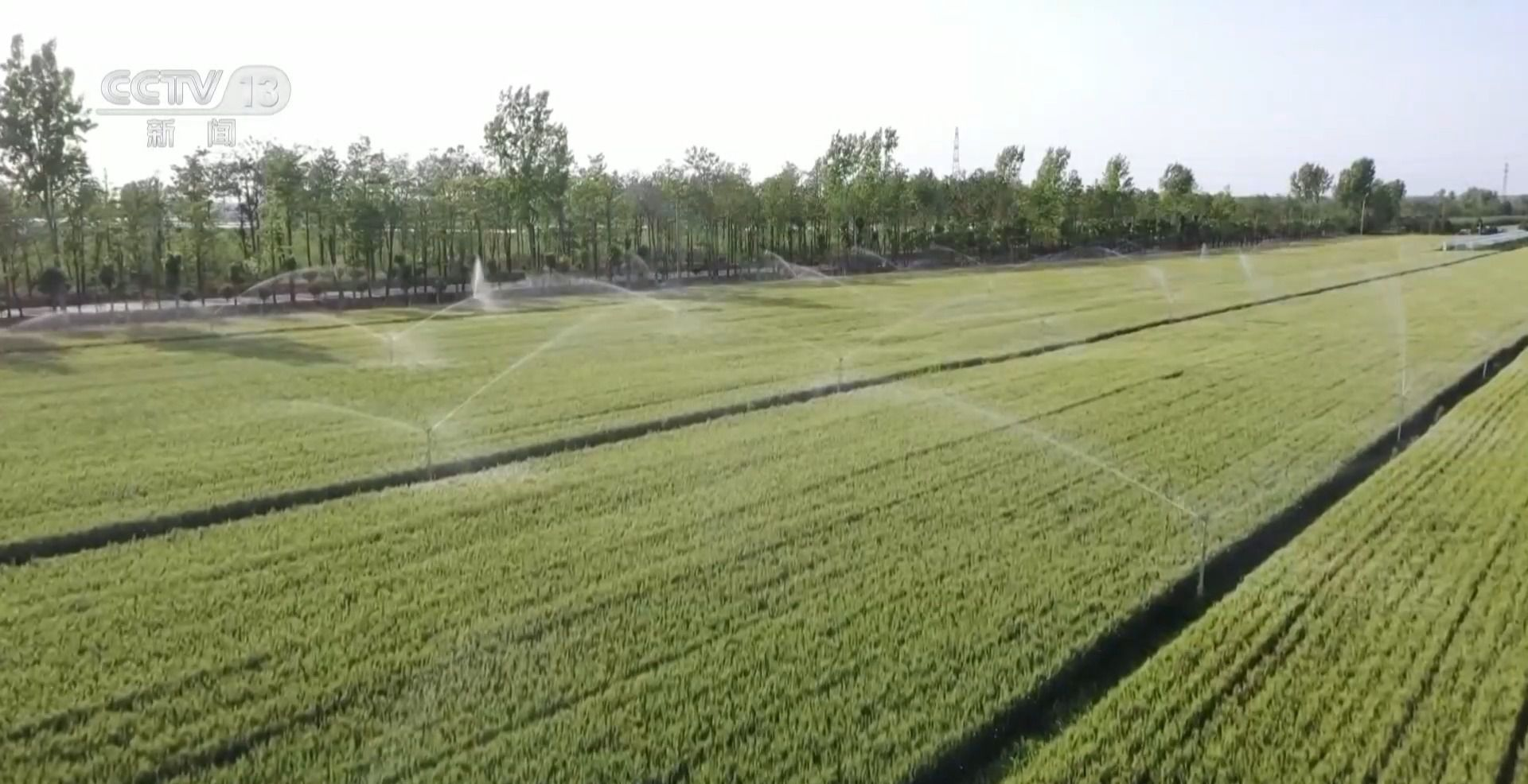 1748311732973338.png 圖片2.png